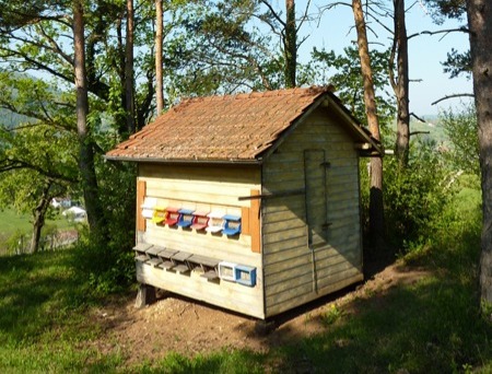 Bienenhaus Chraibel Herznach